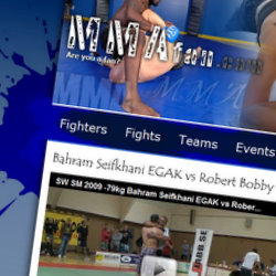 Skärmdump på MMAfan.com